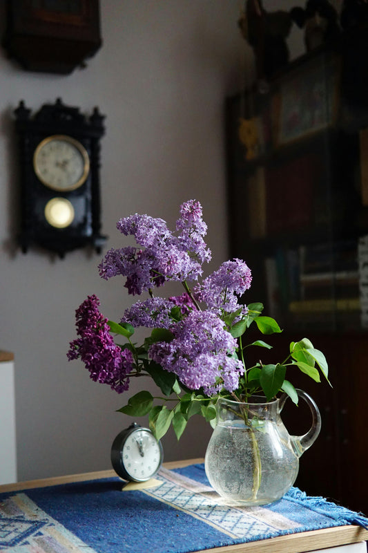 How to implement nature into your home? 🌱