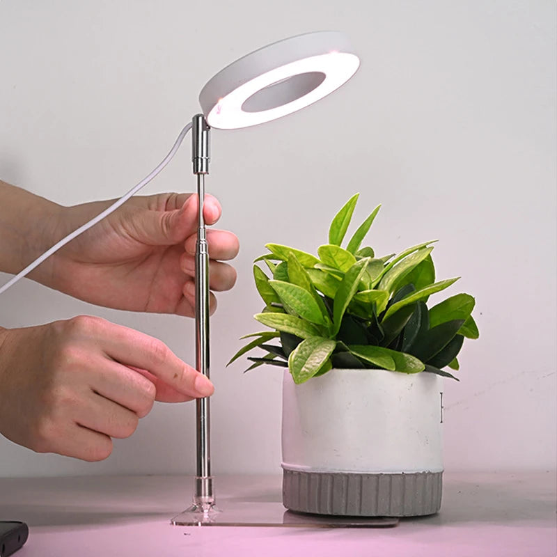 VelesRealm™ LED-Wachstumslampe – Vollspektrum, Timer