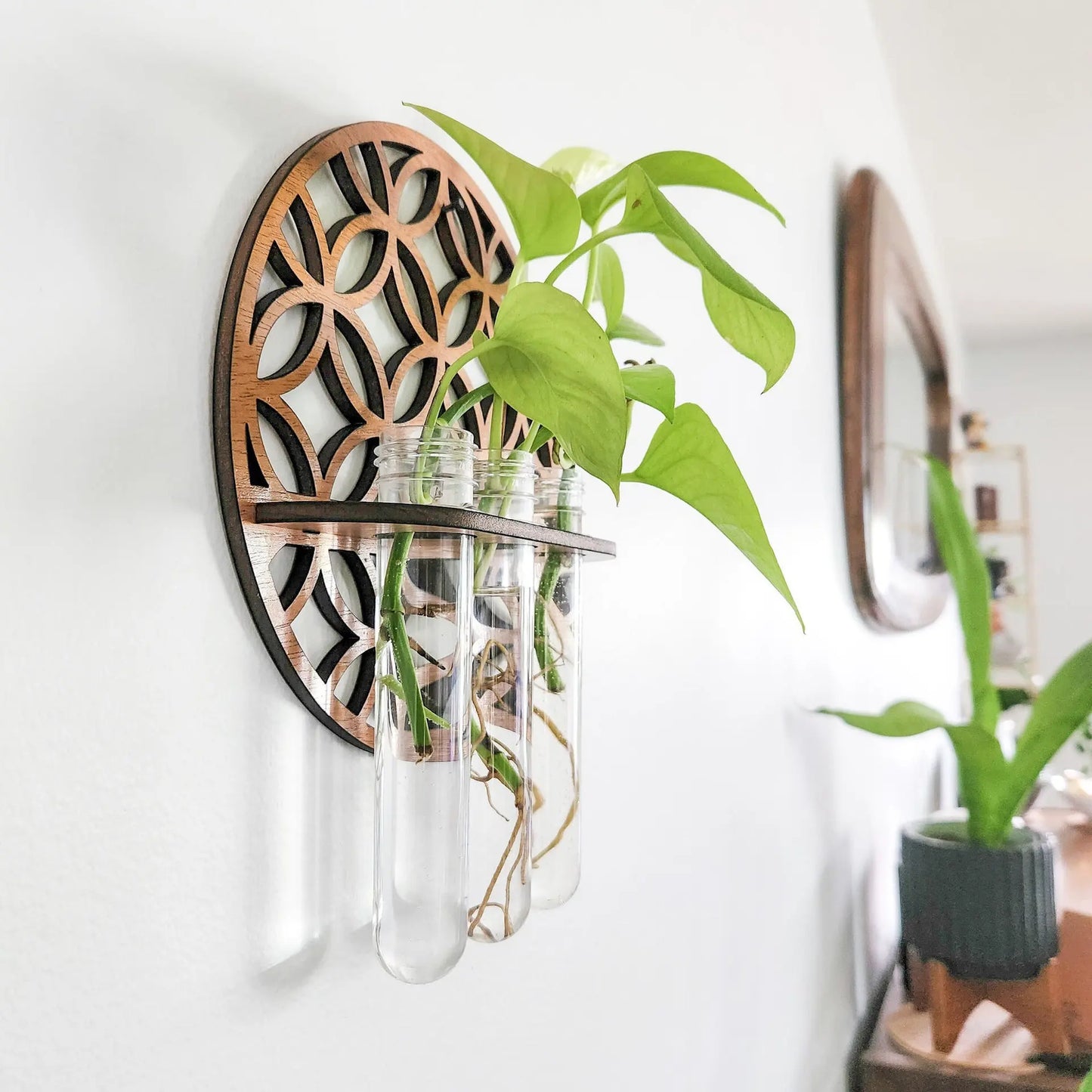 VelesRealm™ Mondphasen-Vermehrungsstation – Holz-Wandterrarium