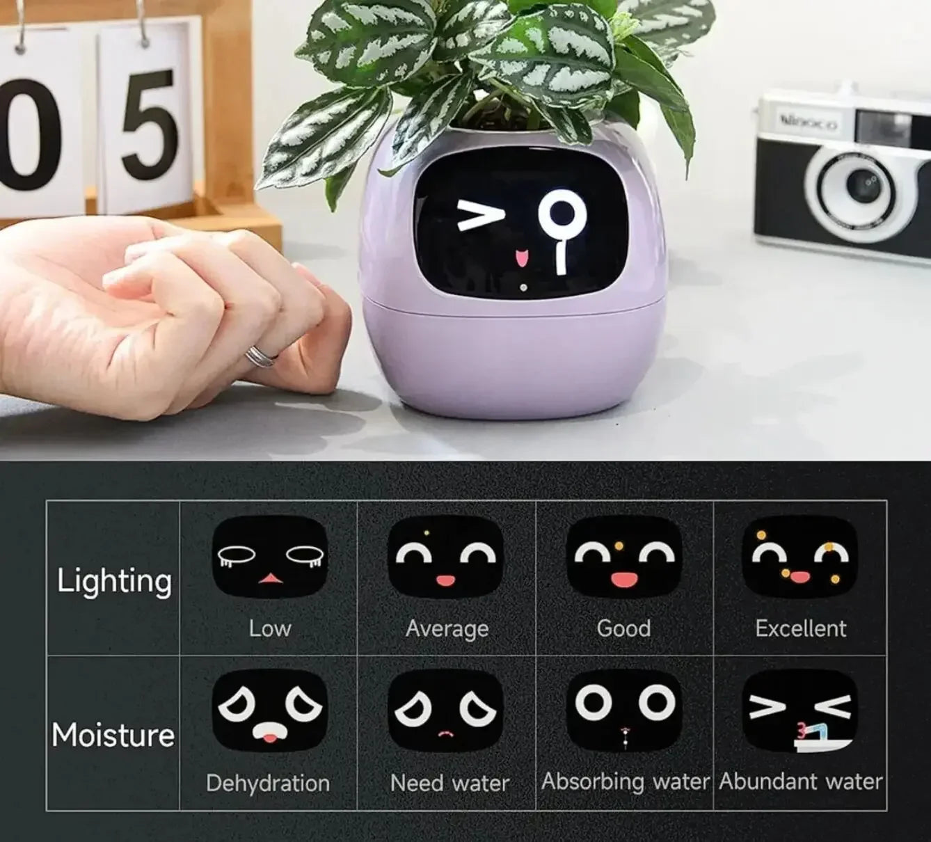 VelesRealm™ Ivy Smart Planter – KI-Pflanzenpflege
