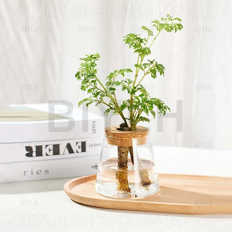 VelesRealm™ Hydroponische Glasvase – Kleiner Blumentopf mit Sockel