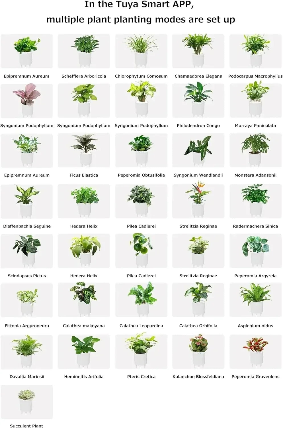 VelesRealm™ Ivy Smart Planter – KI-Pflanzenpflege