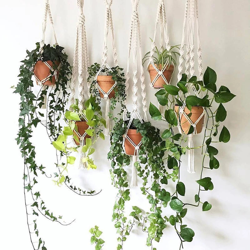 VelesRealm™ Makramee-Hängepflanzer – Boho-Baumwollseil-Dekor