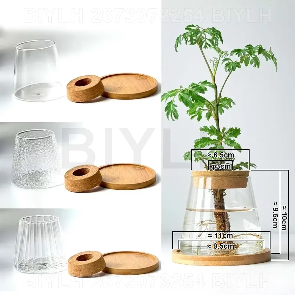 VelesRealm™ Hydroponische Glasvase – Kleiner Blumentopf mit Sockel