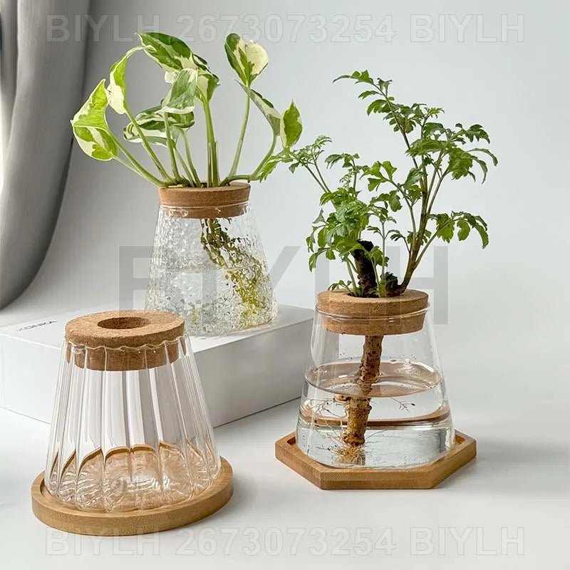 VelesRealm™ Hydroponische Glasvase – Kleiner Blumentopf mit Sockel