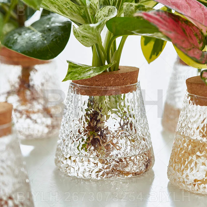 VelesRealm™ Hydroponische Glasvase – Kleiner Blumentopf mit Sockel