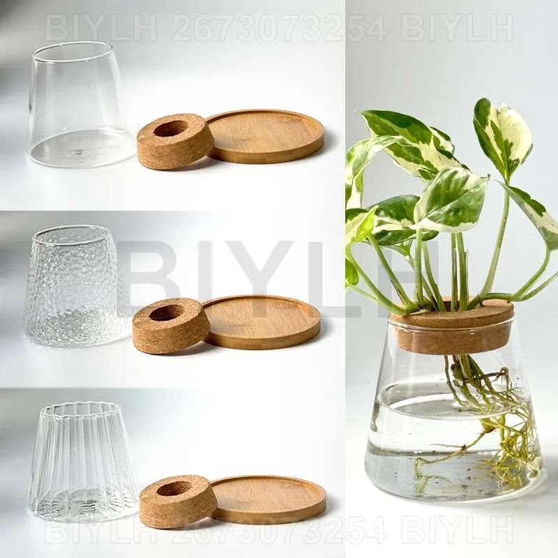 VelesRealm™ Hydroponische Glasvase – Kleiner Blumentopf mit Sockel