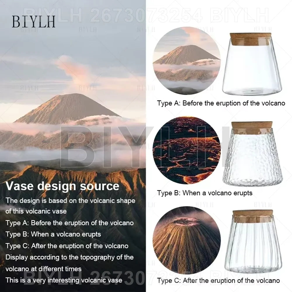 VelesRealm™ Hydroponische Glasvase – Kleiner Blumentopf mit Sockel