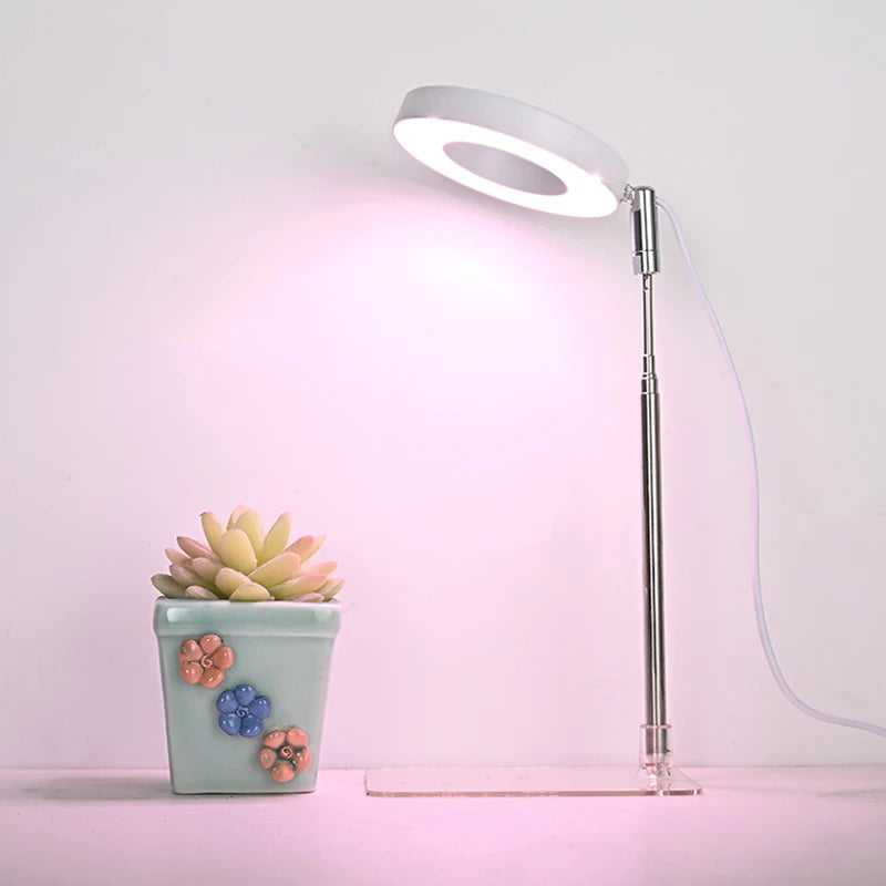 VelesRealm™ LED-Wachstumslampe – Vollspektrum, Timer