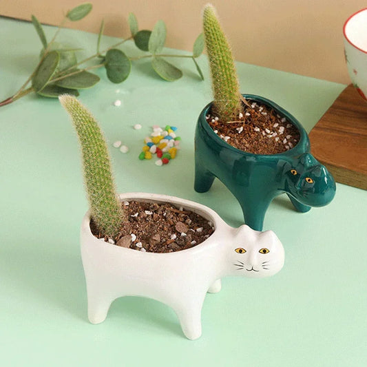 Doniczka ceramiczna VelesRealm™ Cat – słodka doniczka na sukulenty