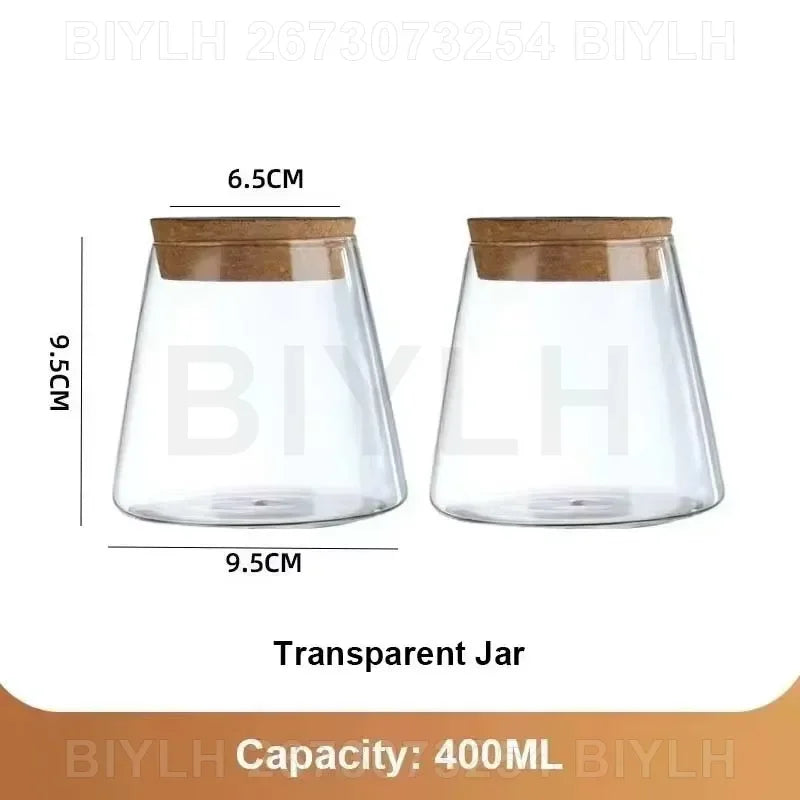 VelesRealm™ Hydroponische Glasvase – Kleiner Blumentopf mit Sockel