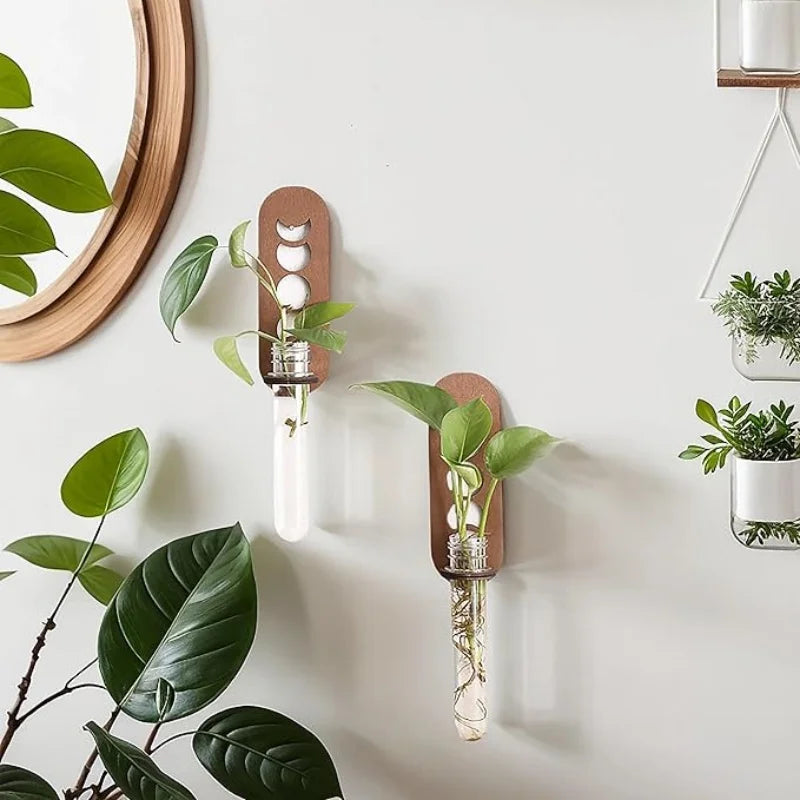 VelesRealm™ Mondphasen-Vermehrungsstation – Holz-Wandterrarium