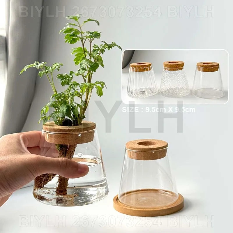 VelesRealm™ Hydroponische Glasvase – Kleiner Blumentopf mit Sockel