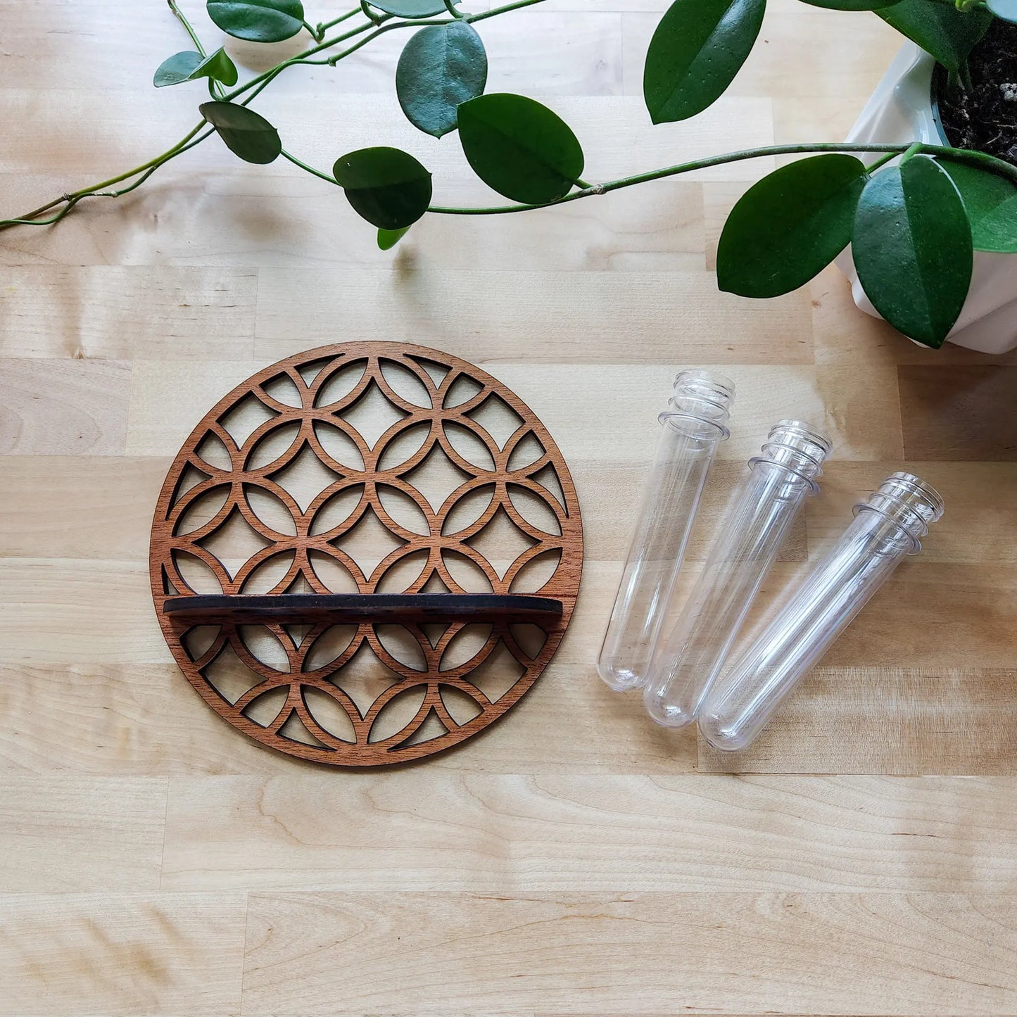 VelesRealm™ Mondphasen-Vermehrungsstation – Holz-Wandterrarium