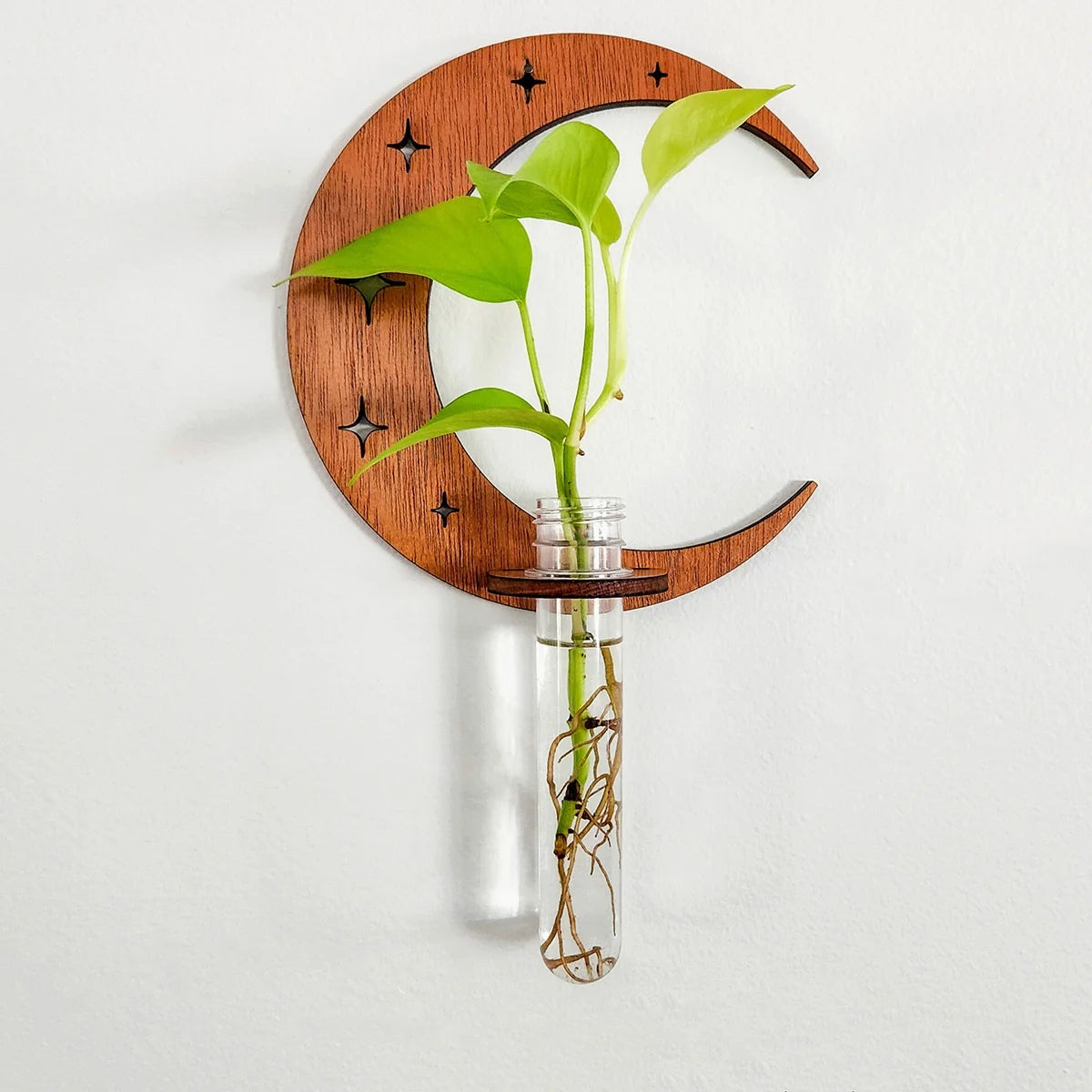 VelesRealm™ Mondphasen-Vermehrungsstation – Holz-Wandterrarium