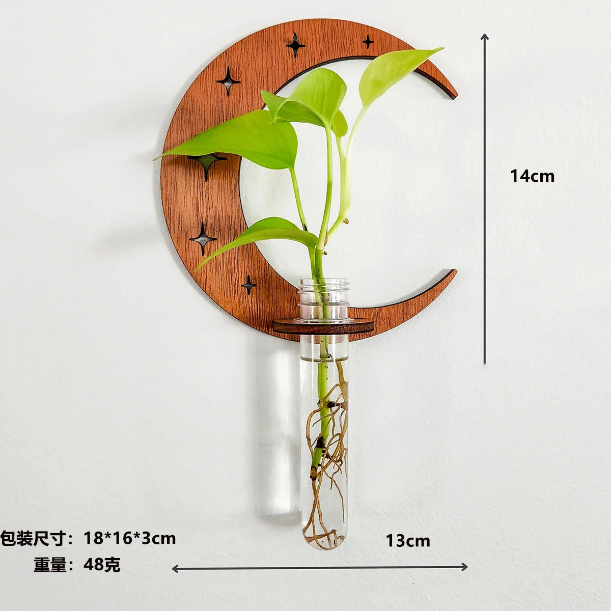 VelesRealm™ Mondphasen-Vermehrungsstation – Holz-Wandterrarium