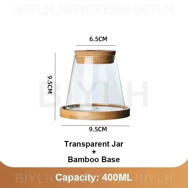 VelesRealm™ Hydroponische Glasvase – Kleiner Blumentopf mit Sockel