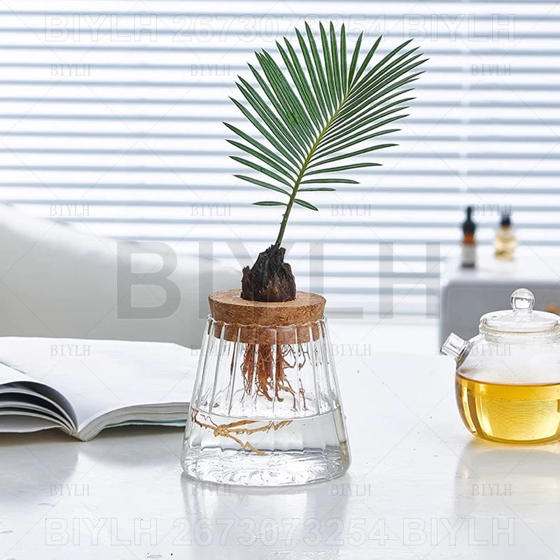 VelesRealm™ Hydroponische Glasvase – Kleiner Blumentopf mit Sockel
