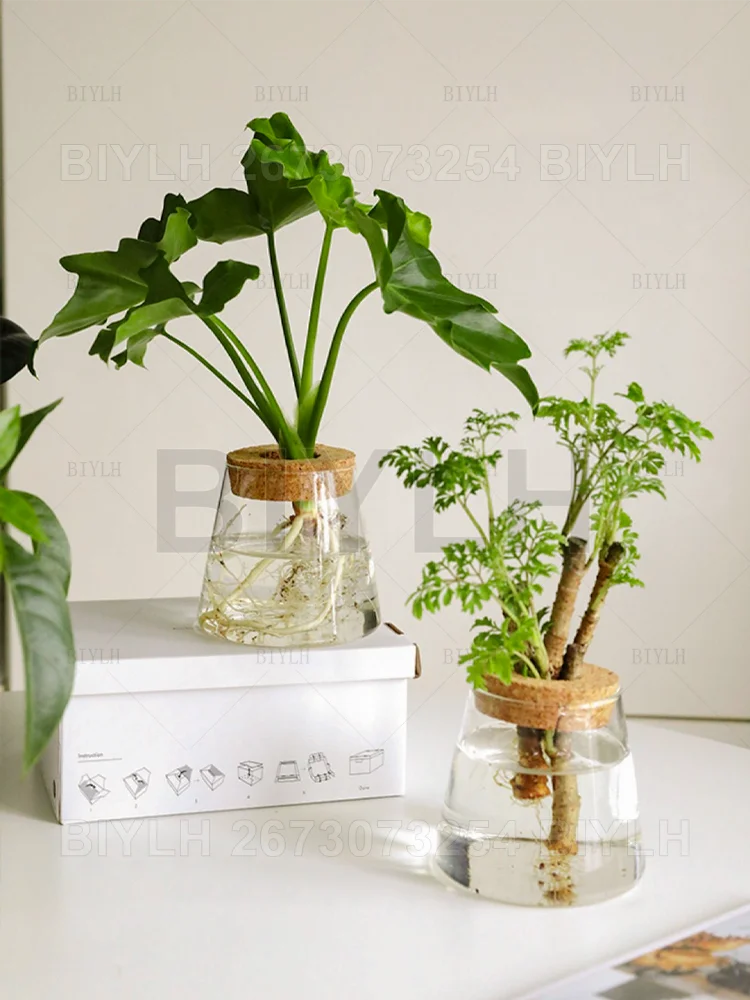 VelesRealm™ Hydroponische Glasvase – Kleiner Blumentopf mit Sockel
