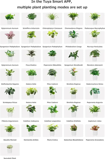 VelesRealm™ Ivy Smart Planter – KI-Pflanzenpflege