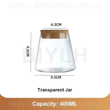 VelesRealm™ Hydroponische Glasvase – Kleiner Blumentopf mit Sockel