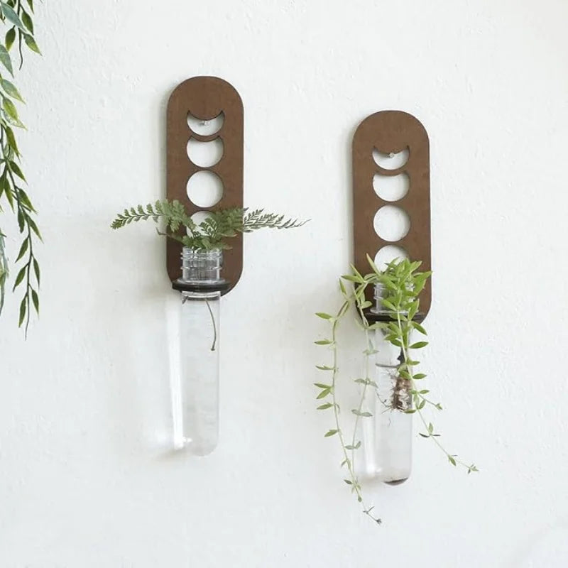 VelesRealm™ Mondphasen-Vermehrungsstation – Holz-Wandterrarium
