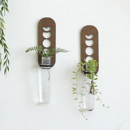 VelesRealm™ Mondphasen-Vermehrungsstation – Holz-Wandterrarium