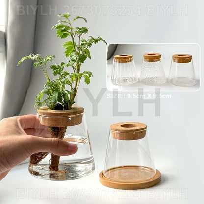 VelesRealm™ Hydroponische Glasvase – Kleiner Blumentopf mit Sockel