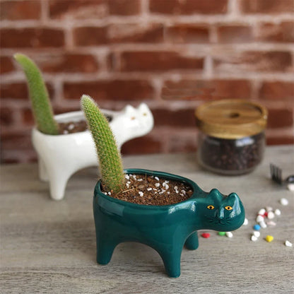 VelesRealm™ Katzen-Keramik-Pflanzgefäß – Süßer Sukkulententopf