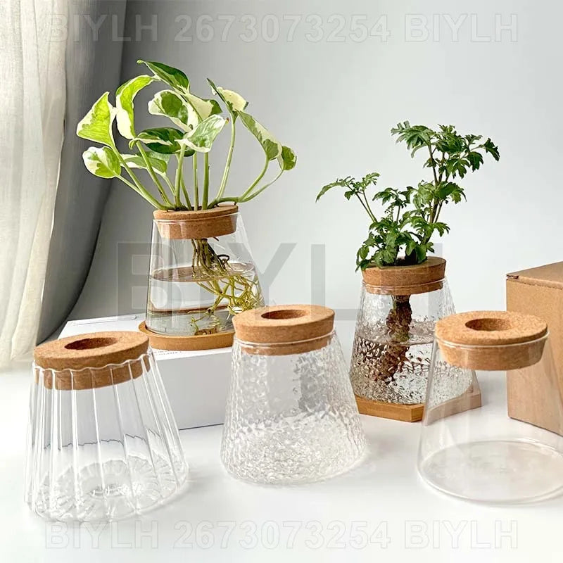 VelesRealm™ Hydroponische Glasvase – Kleiner Blumentopf mit Sockel