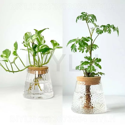 VelesRealm™ Hydroponische Glasvase – Kleiner Blumentopf mit Sockel